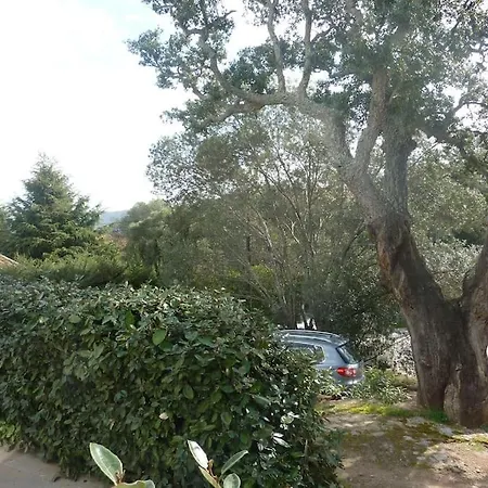 A 200m Du Centre De Vecchio.