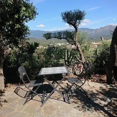 A 200m Du Centre De Vecchio.