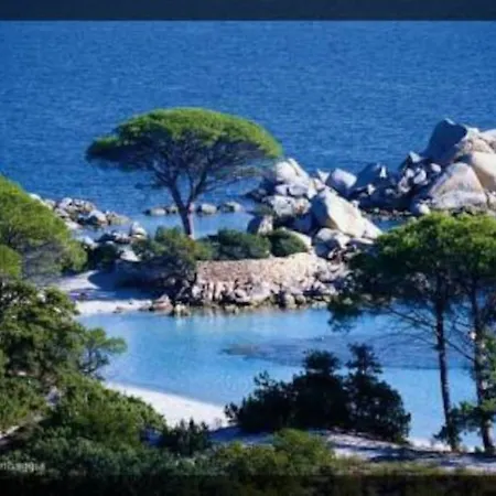 A 200m Du Centre De Vecchio. Feriehus Porto-Vecchio (Corsica)