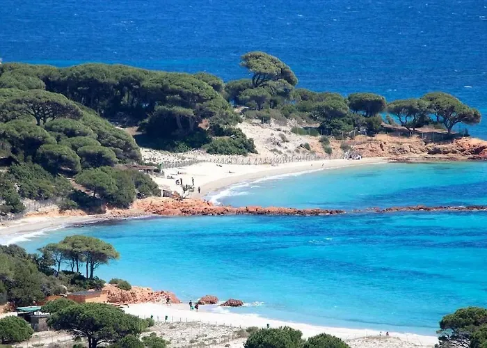 A 5 Minutes A Pied Du Centre De Vecchio Tatil Evi *