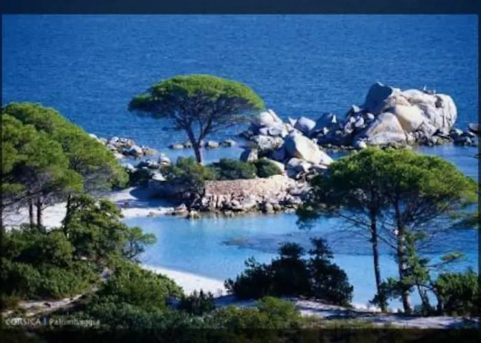 A 5 Minutes A Pied Du Centre De Vecchio Tatil Evi Porto-Vecchio (Corsica)